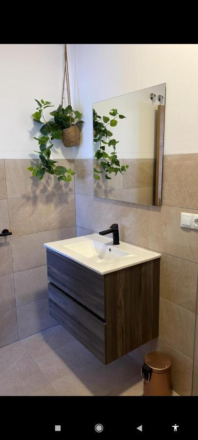 Suites 5* Lahcene Аликанте Экстерьер фото